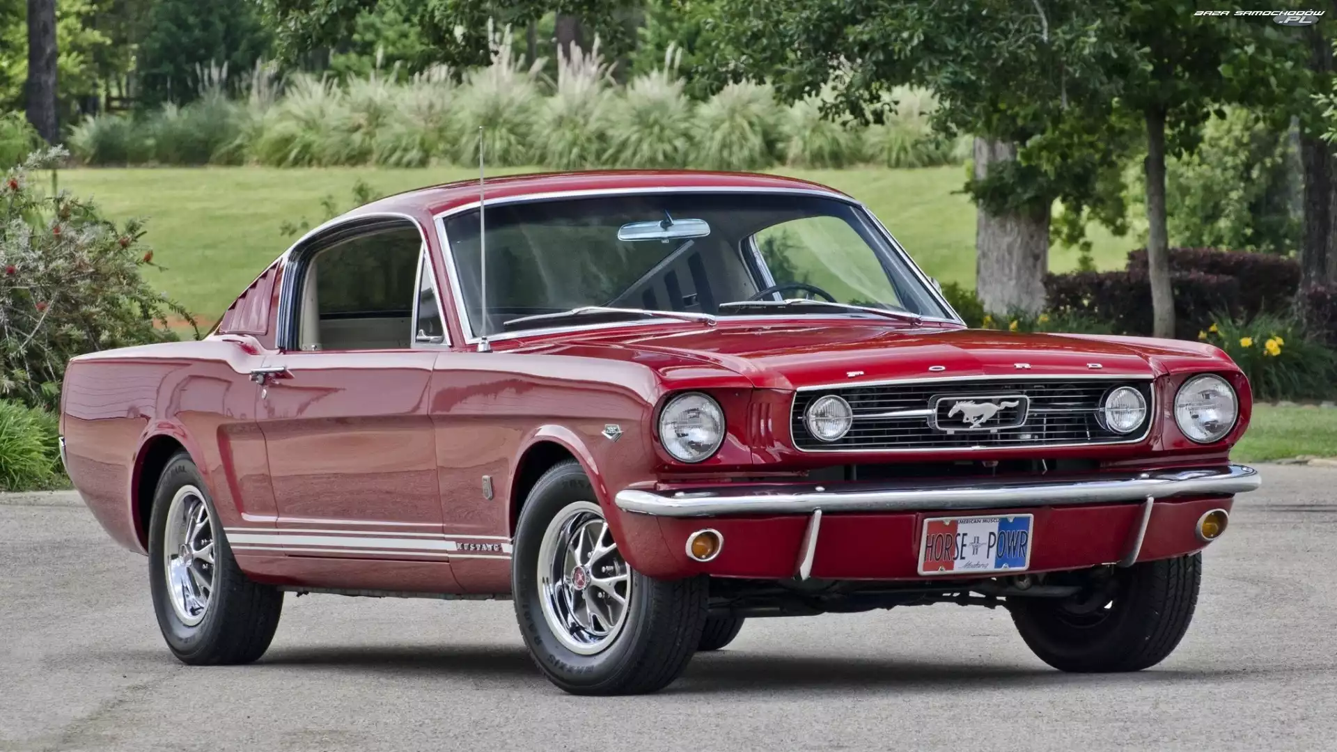 Ford Mustang, Zabytkowy, Czerwony, 1966