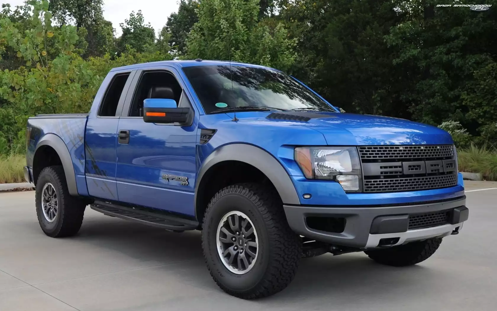 Drzewa, Ford, Raptor