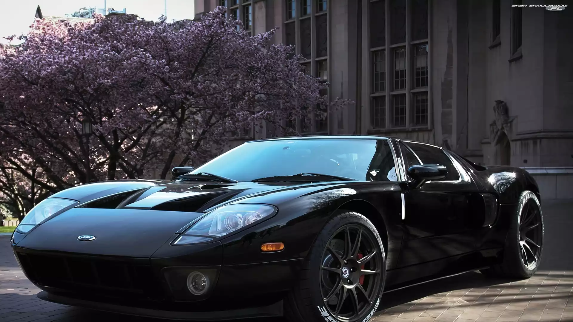 GT, Ford