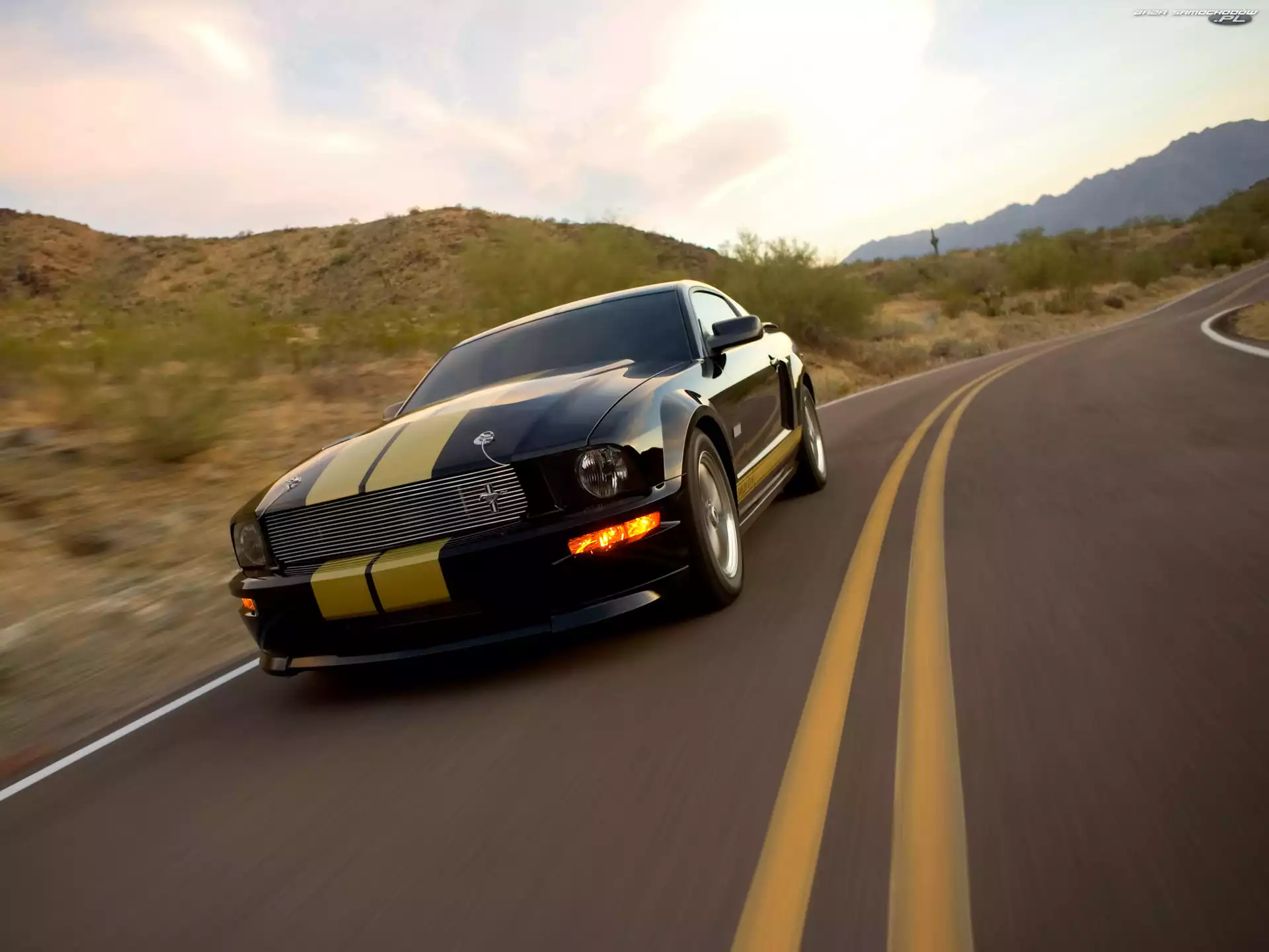 Ford Mustang Shelby GT, Droga