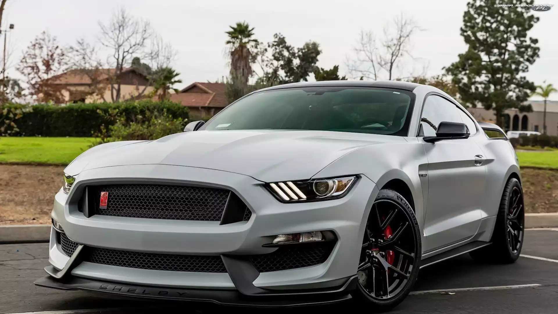 Ford Mustang GT350R, 2018