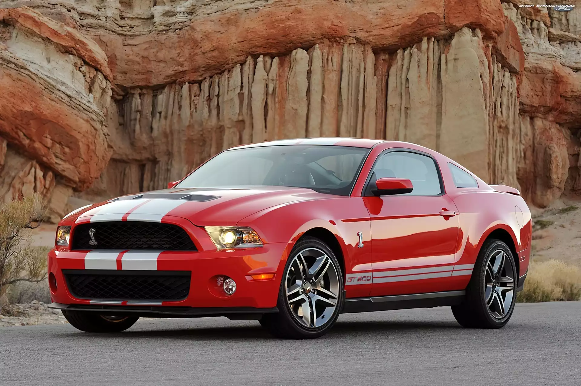 Shelby, Ford Mustang GT500