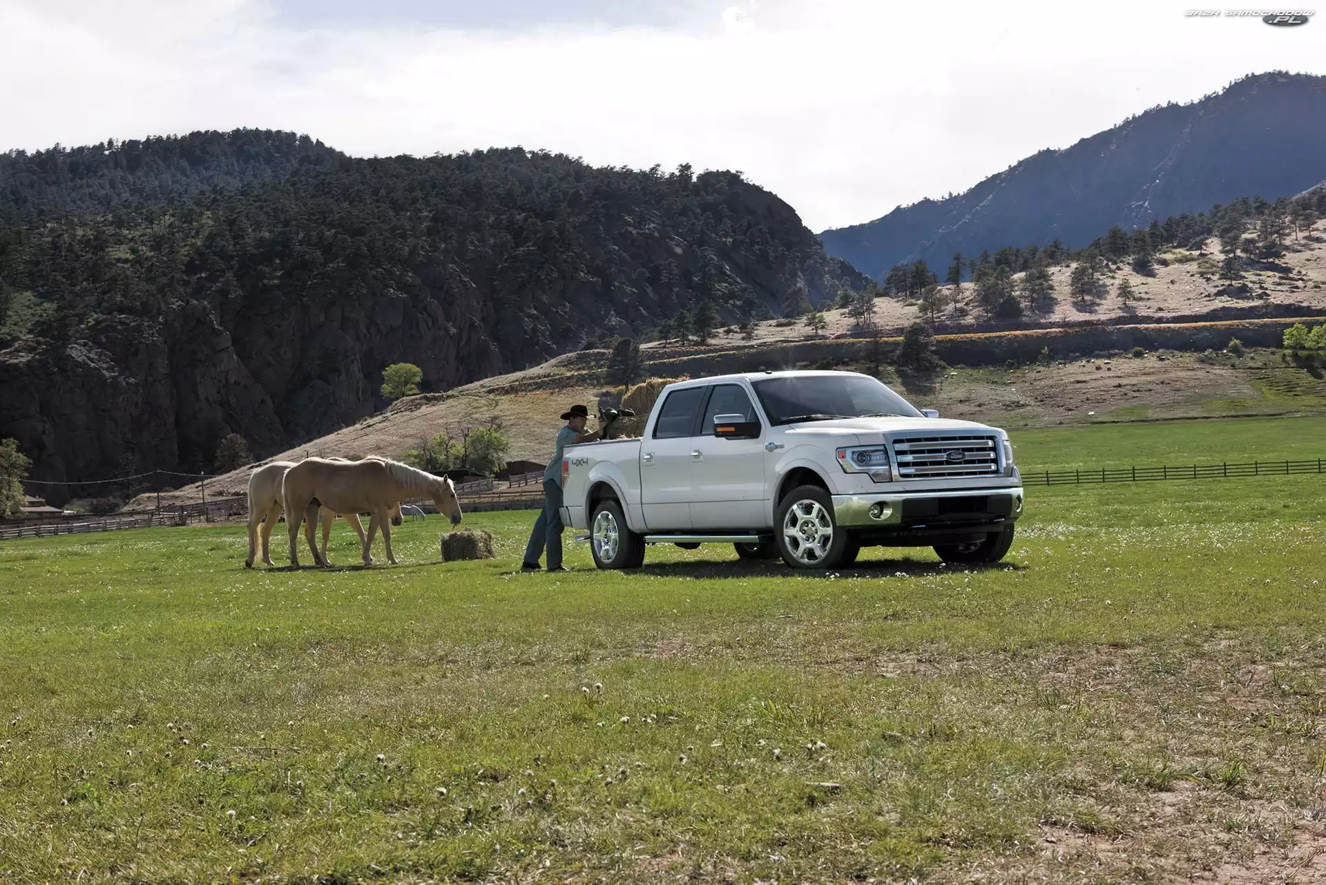 King Ranch, Ford F-150