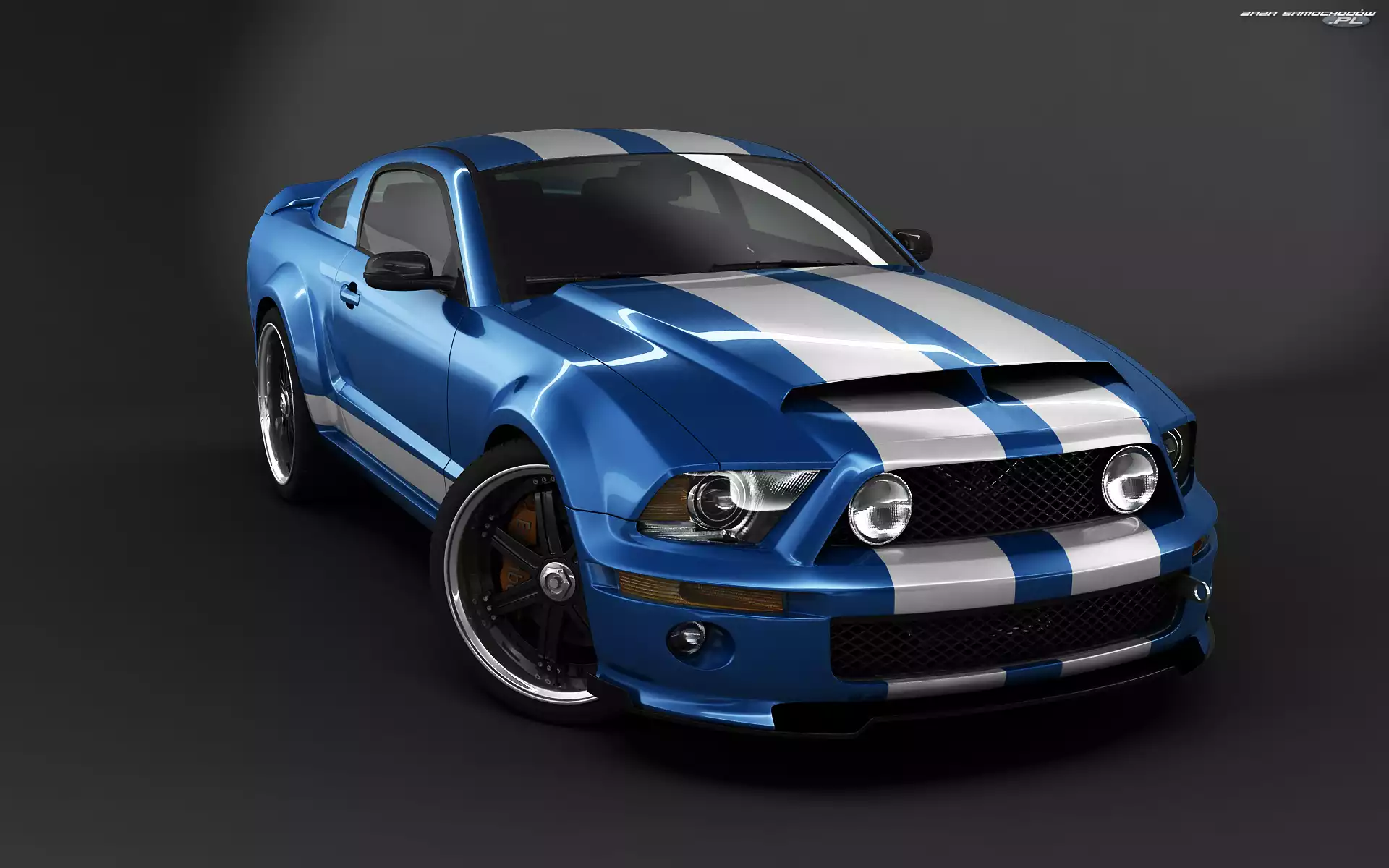 Ford Mustang Shelby, Pasy, Niebieski, Białe