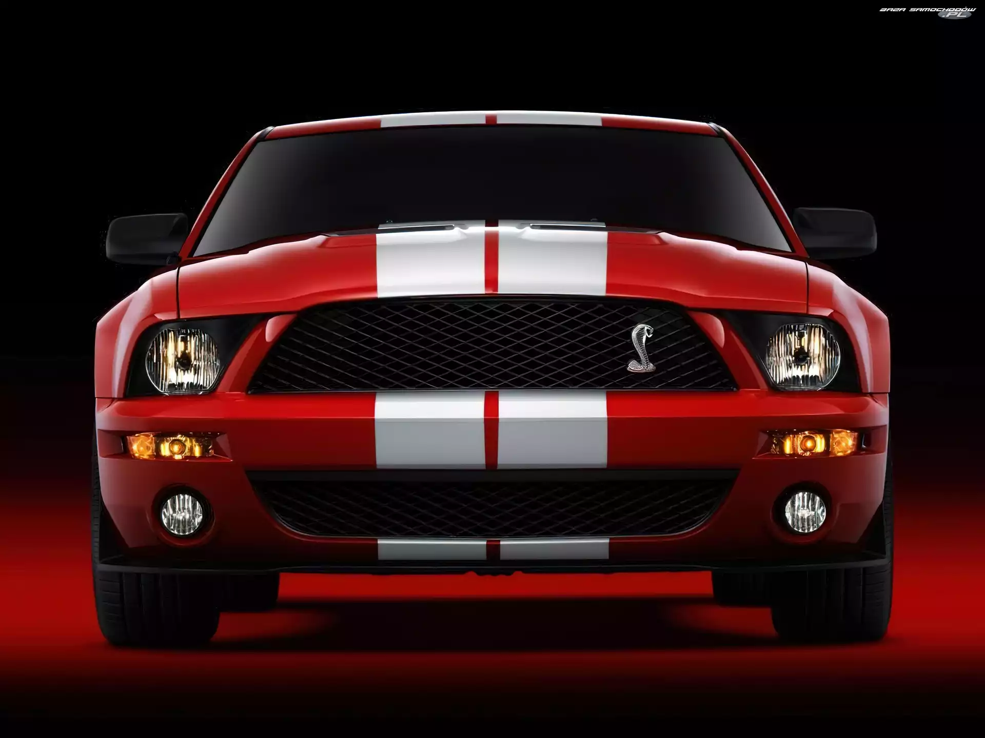Shelby, Ford Mustang, Halogeny, Czerwony