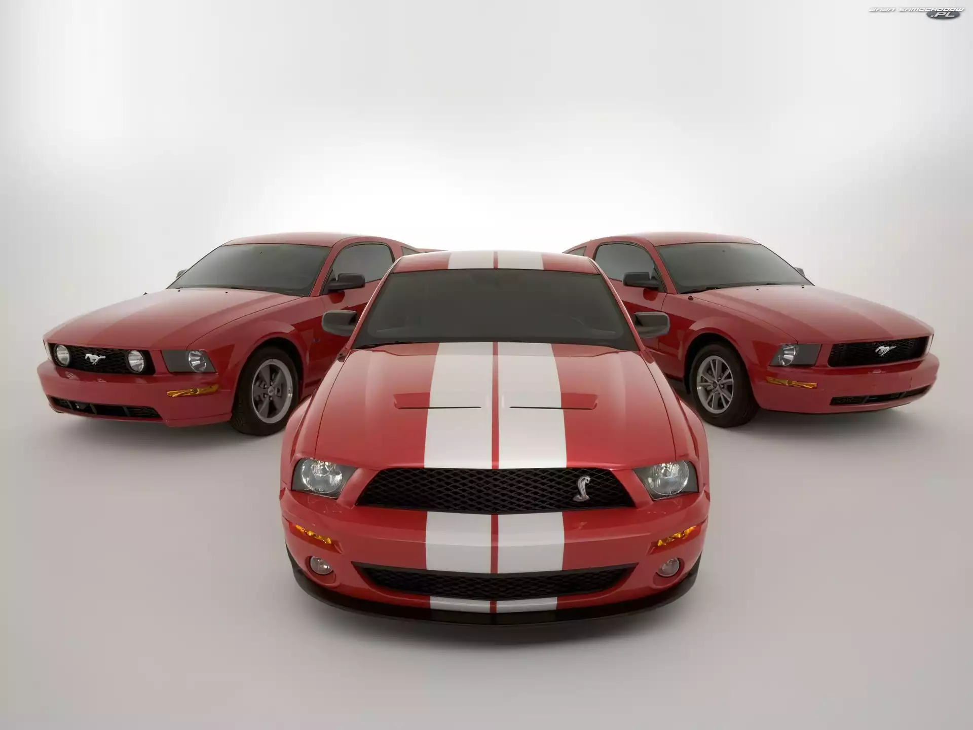 Ford Mustang, Shelby