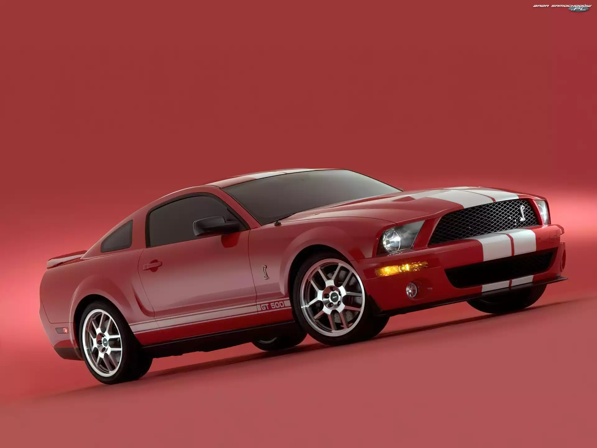 Ford Mustang, Shelby