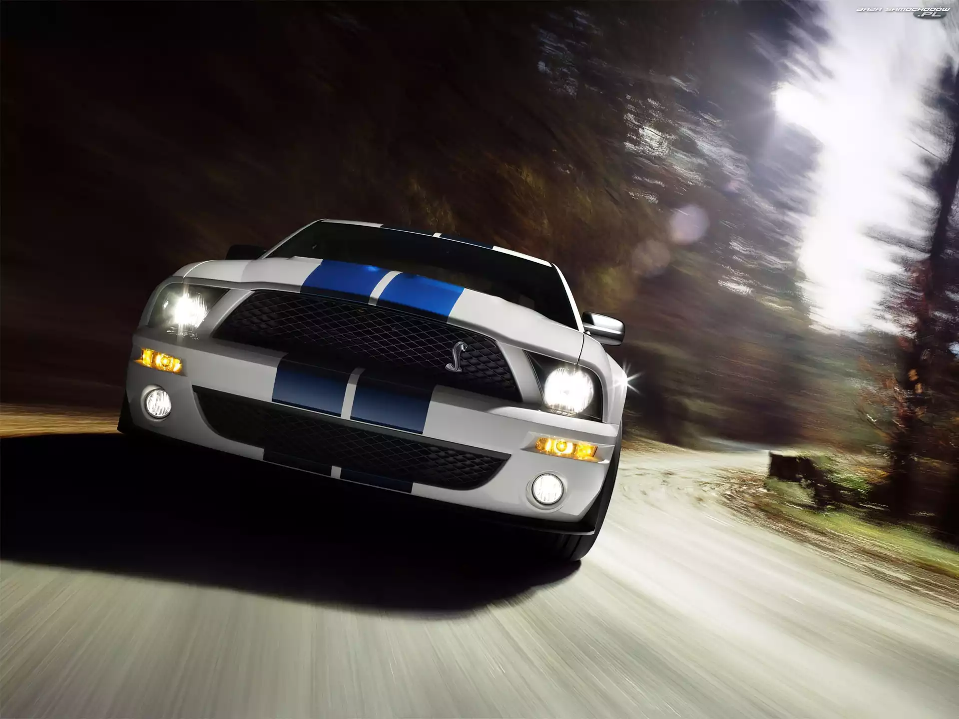 Ford Mustang, Shelby