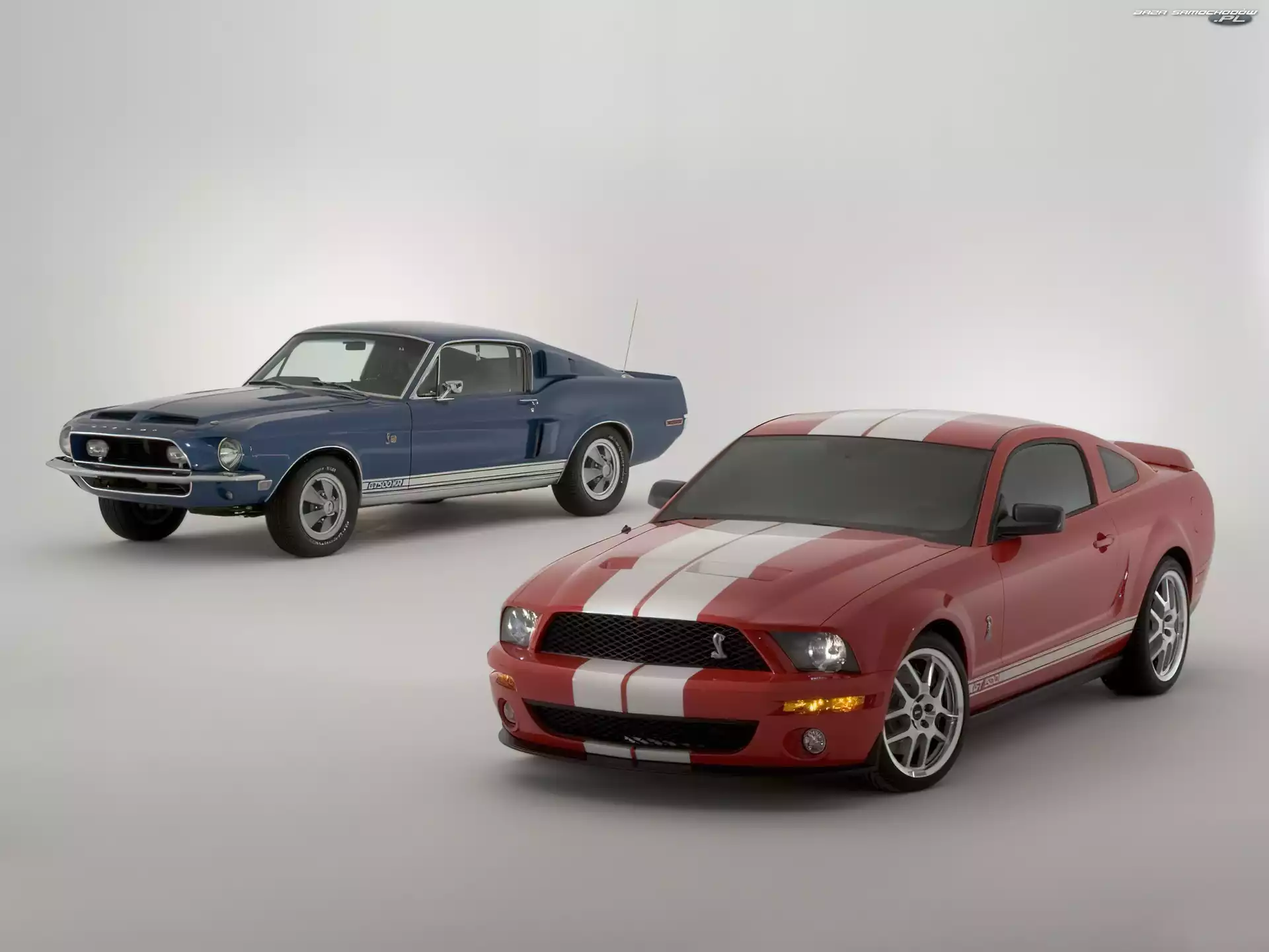 Ford Mustang, Shelby
