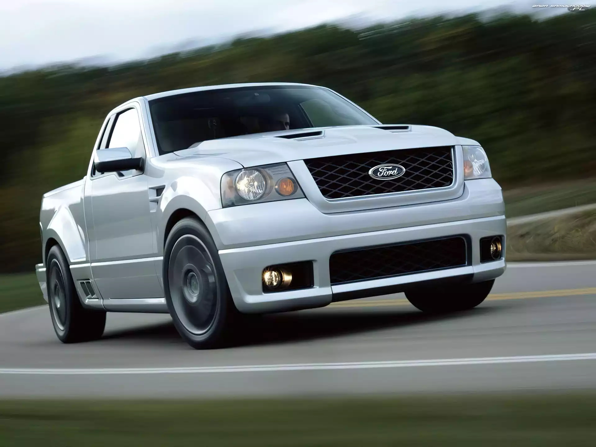Ford F, Srebrny