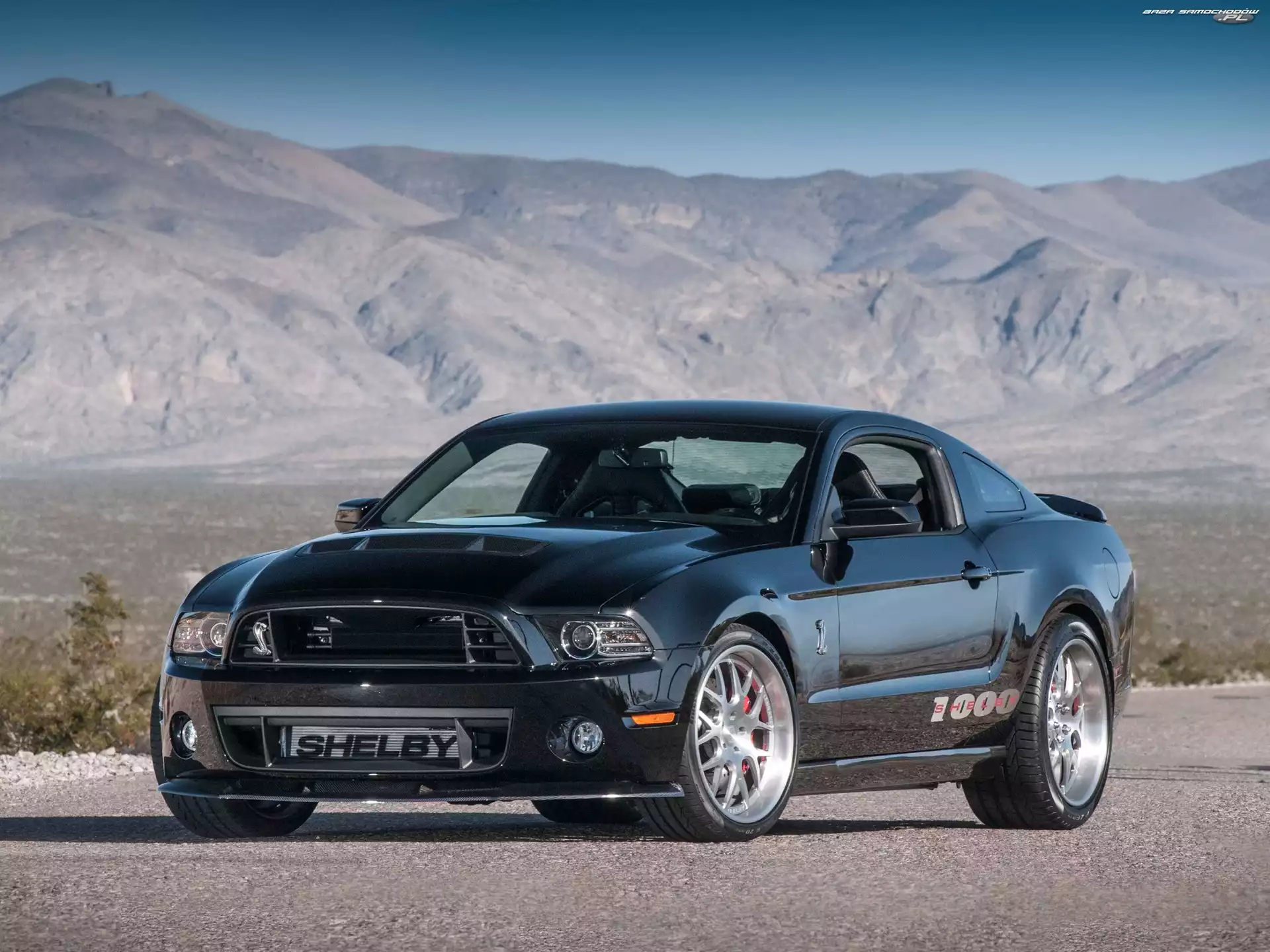 Ford, Shelby, Tuningowany, Mustang