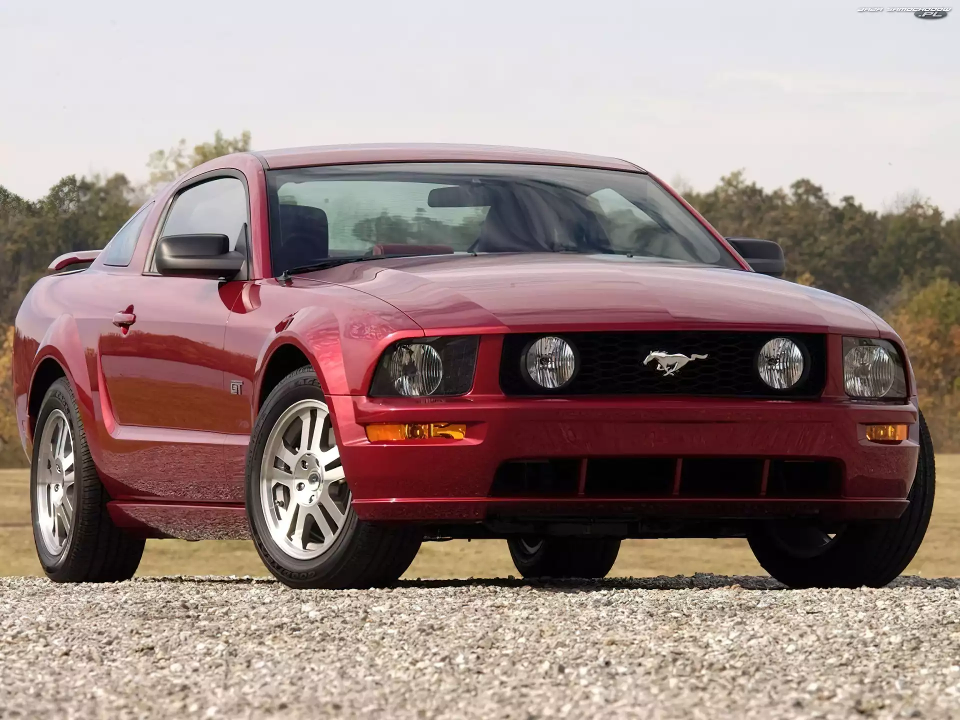 Wiśniowy, Ford Mustang