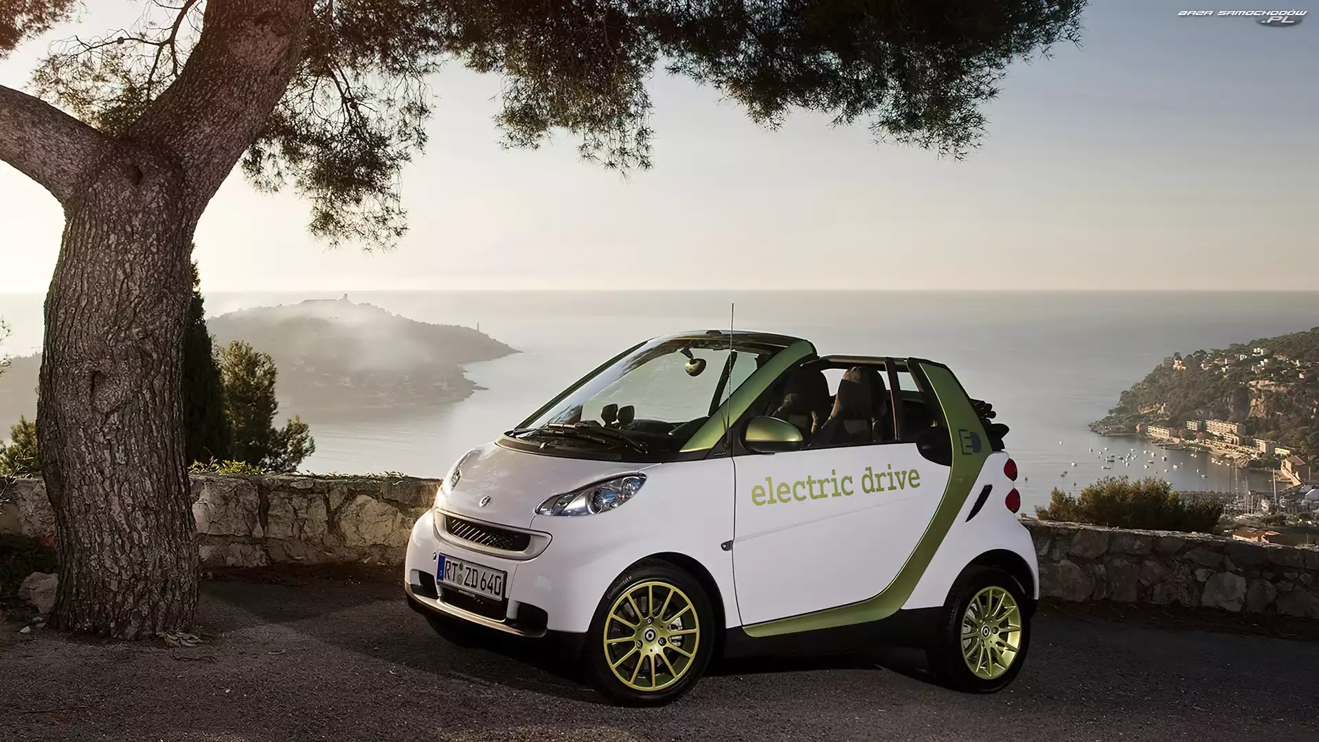 Fortwo, Samochód, Skały, Morze, Smart, Drzewo