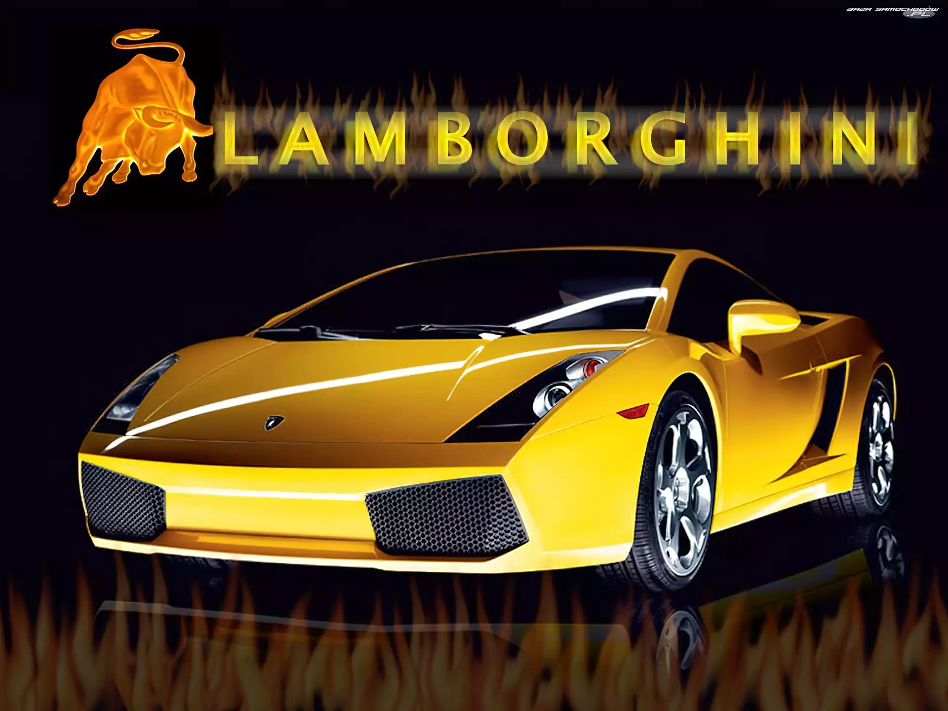 Byk, Lamborghini Gallardo