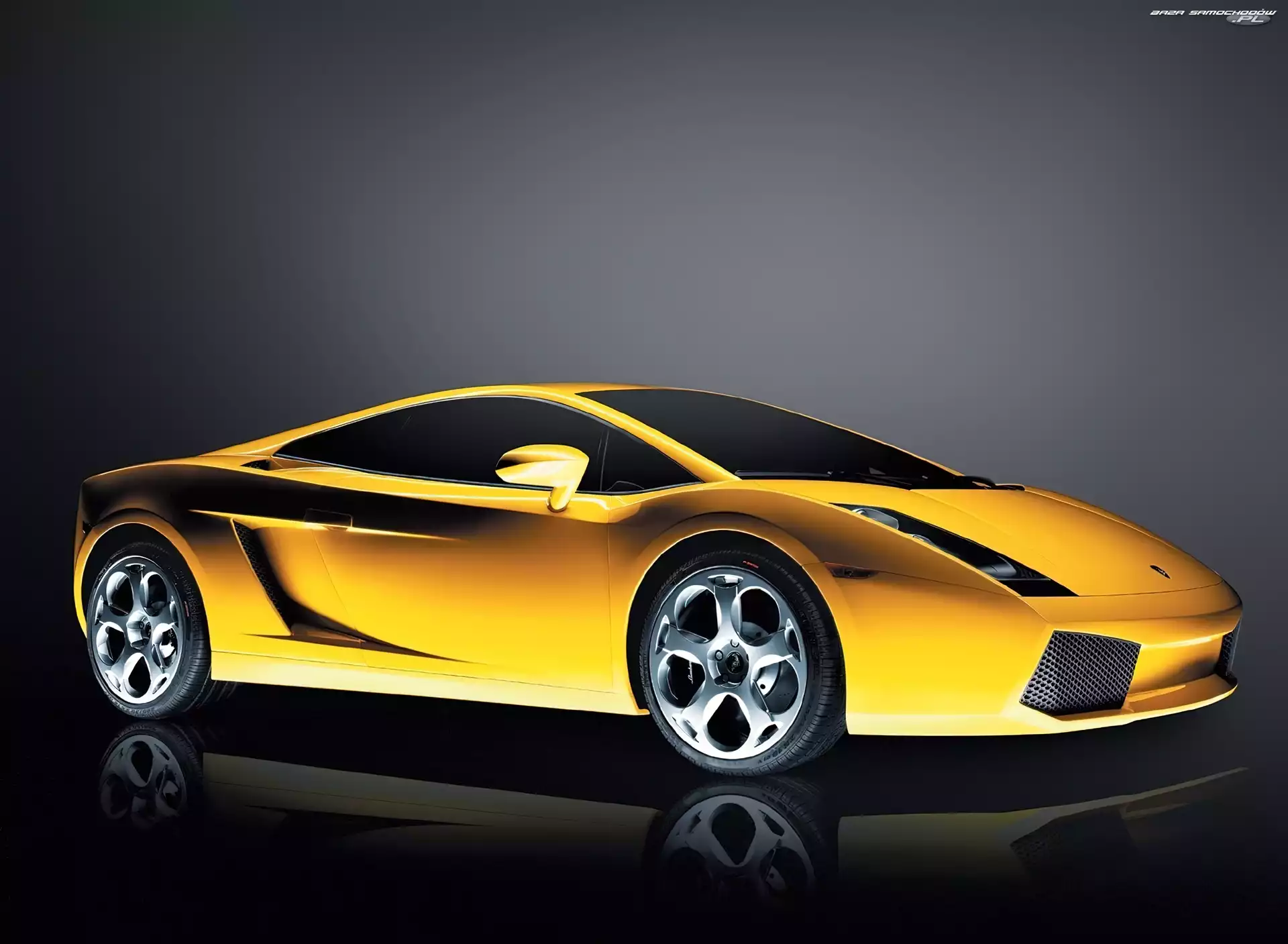 Grafika, Lamborghini Gallardo