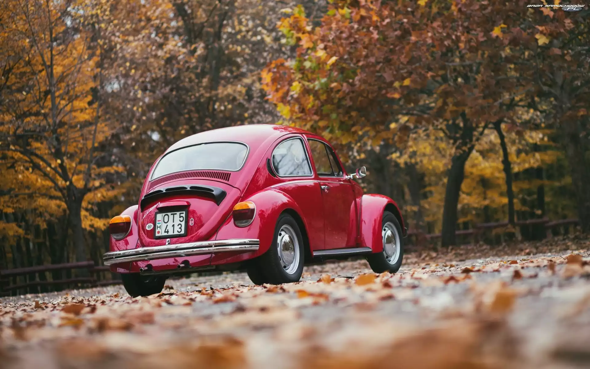 Garbus, Volkswagen, Drzewa, Jesień, Samochód