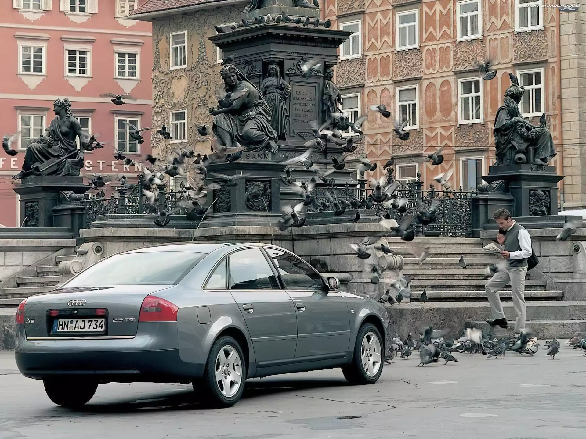gołębie, Audi A6, Pomnik