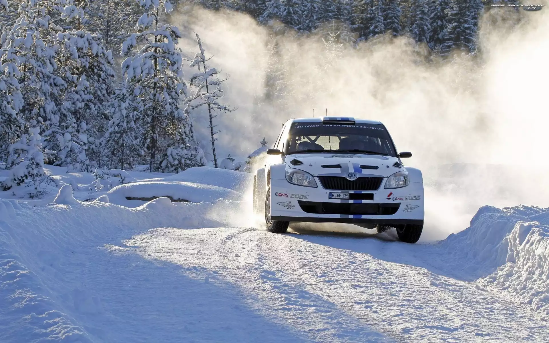 Góra, Skoda, Zima, Rajd, Fabia, Las