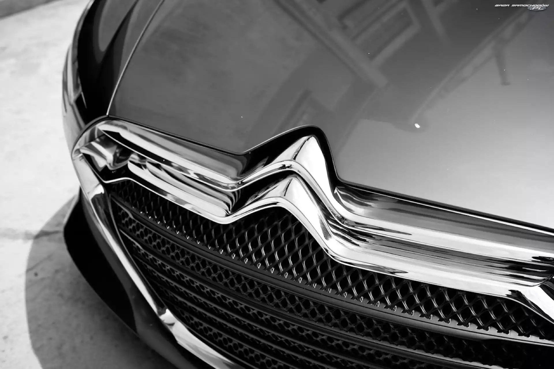Grill, Logo, Citroen Metropolis