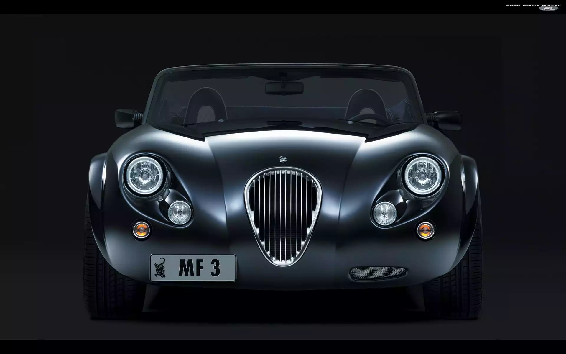 Grill, Przód, Wiesmann MF3
