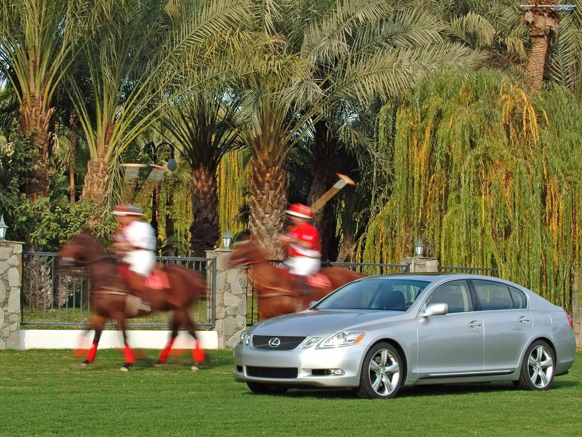 Konie, Lexus GS