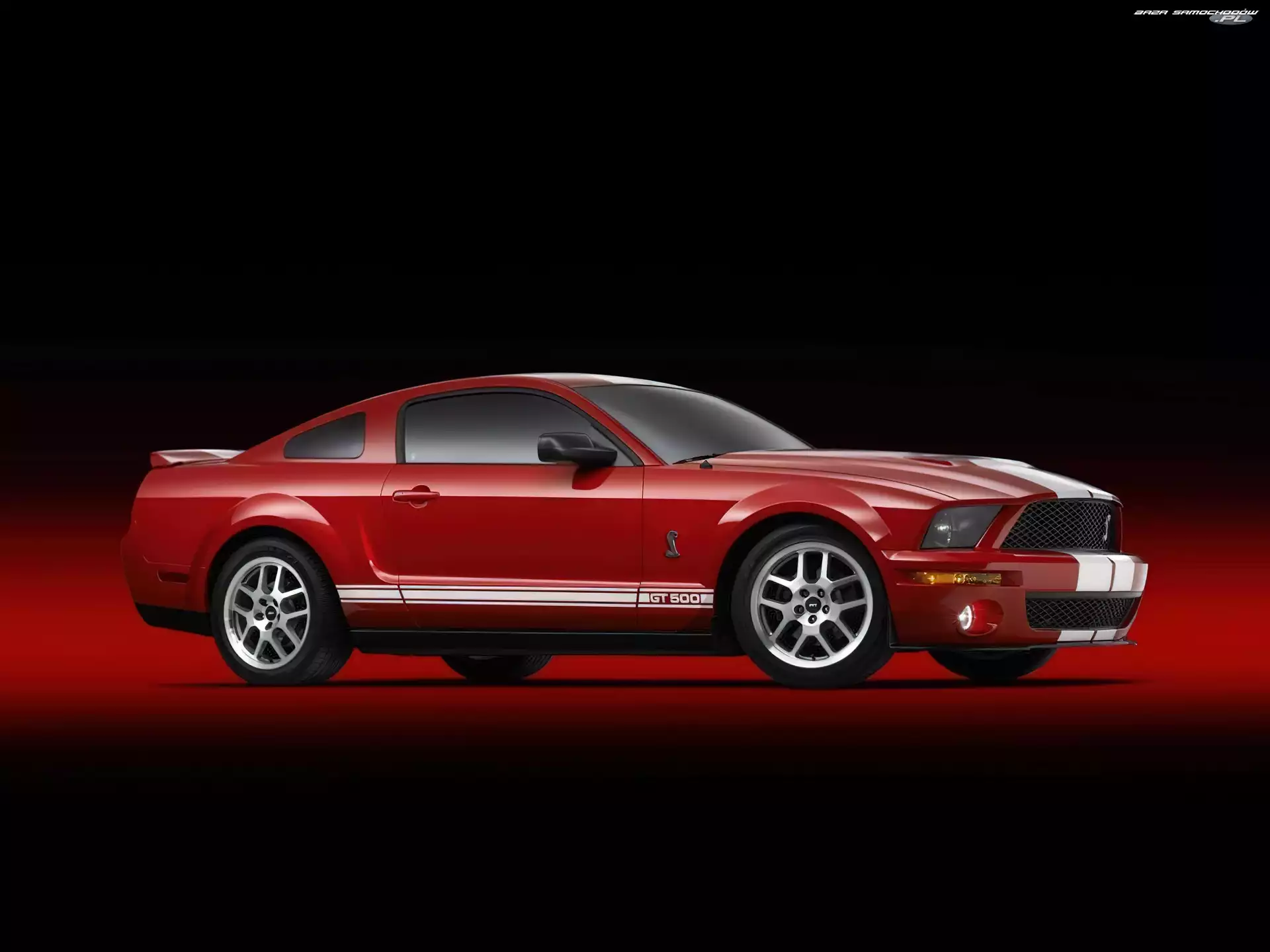 GT 500, Czerwone