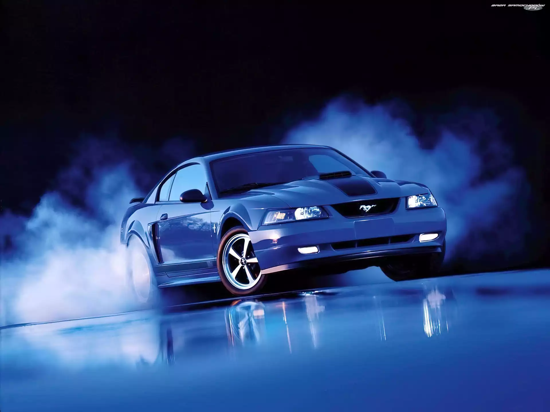 Gumy, Ford Mustang, Palenie