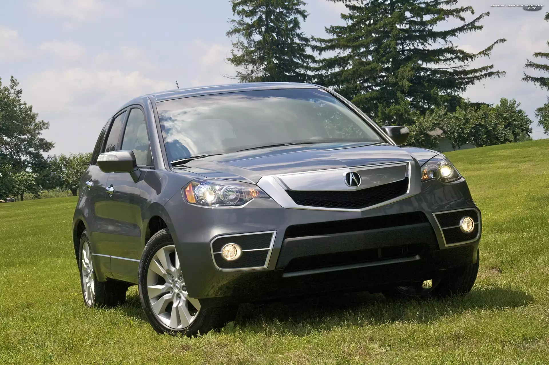 Halogeny, Zderzak, Przód, Acura RDX, Maska