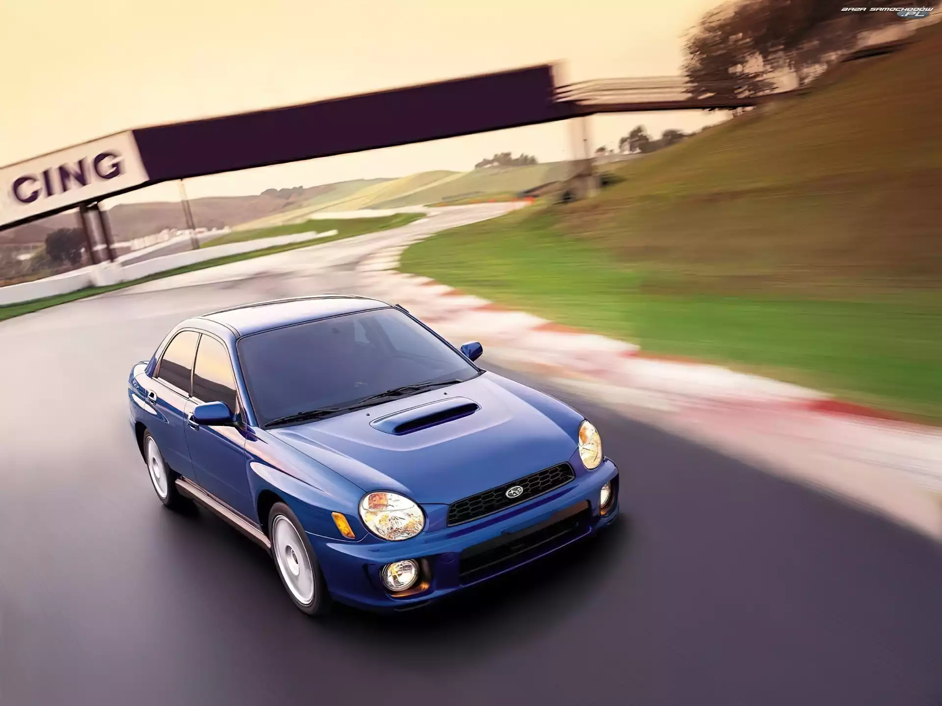 Niebieskie, Subaru Impreza