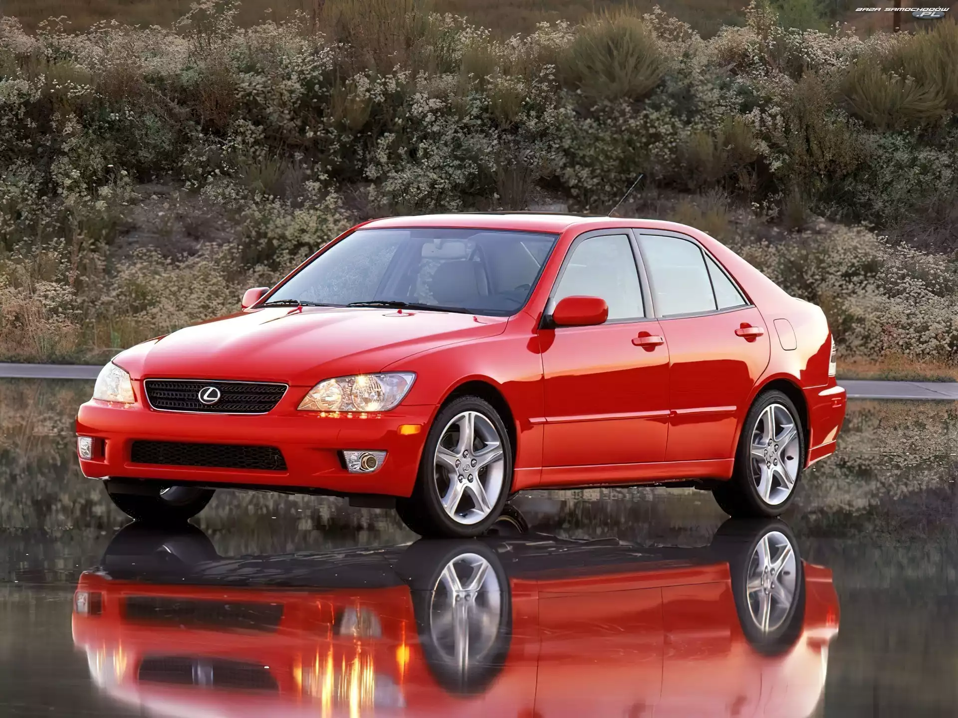 300, Lexus IS