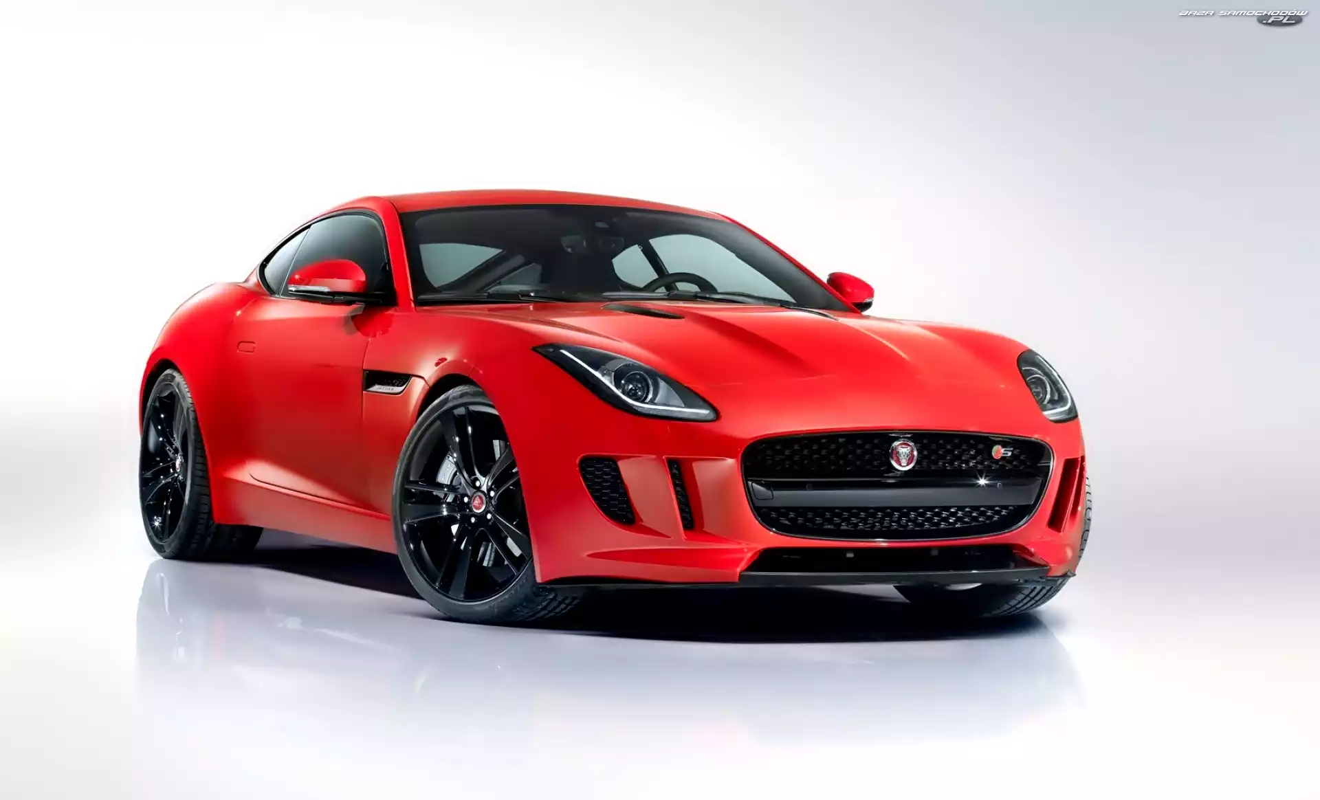 Jaguar, F