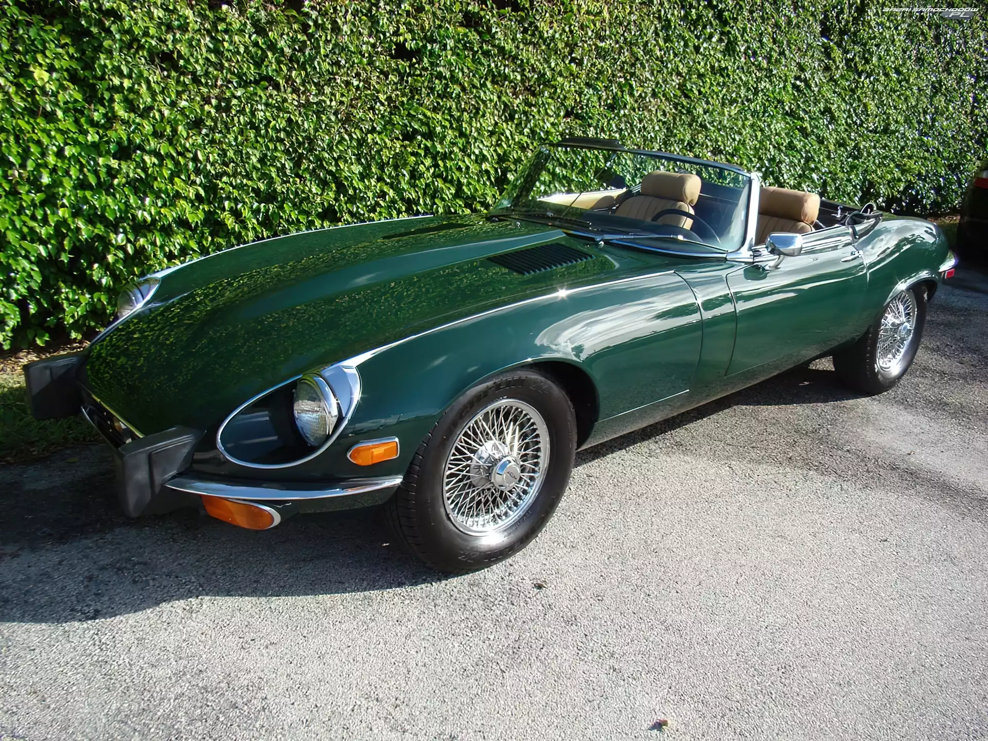 Jaguar XKE, Kabriolet