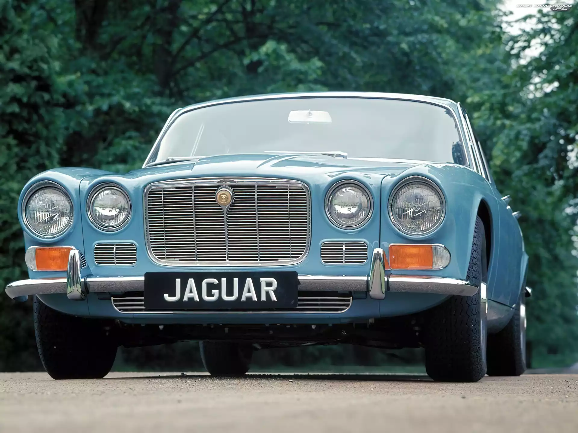 Zabytek, Jaguar