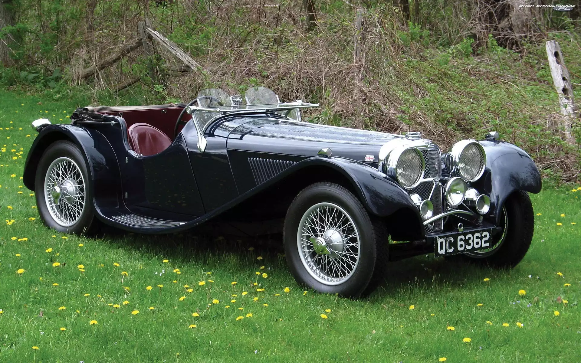 Jaguar, 1935, Zabytkowy, Ss100