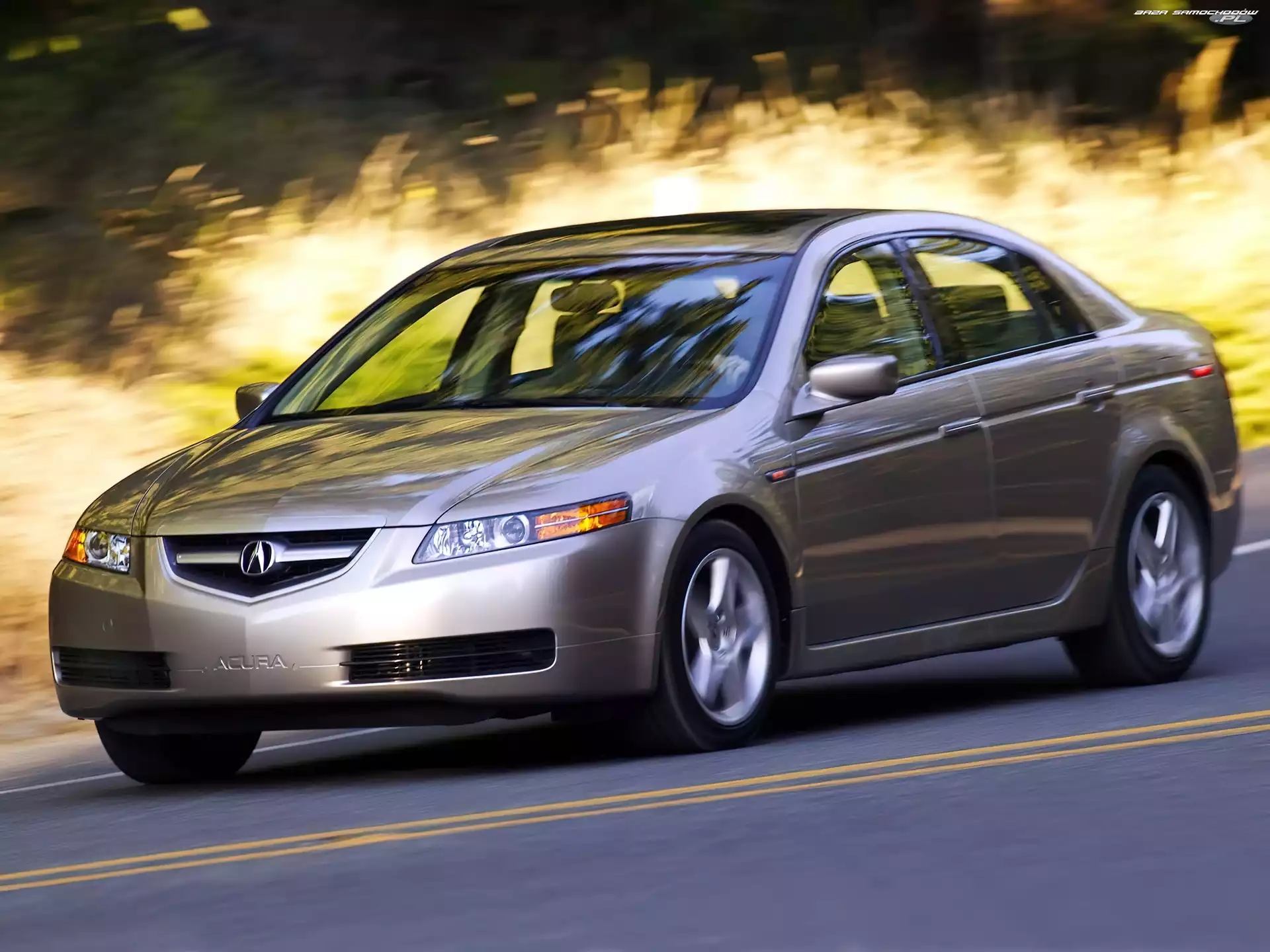 Jazda, Beżowa, Acura TL