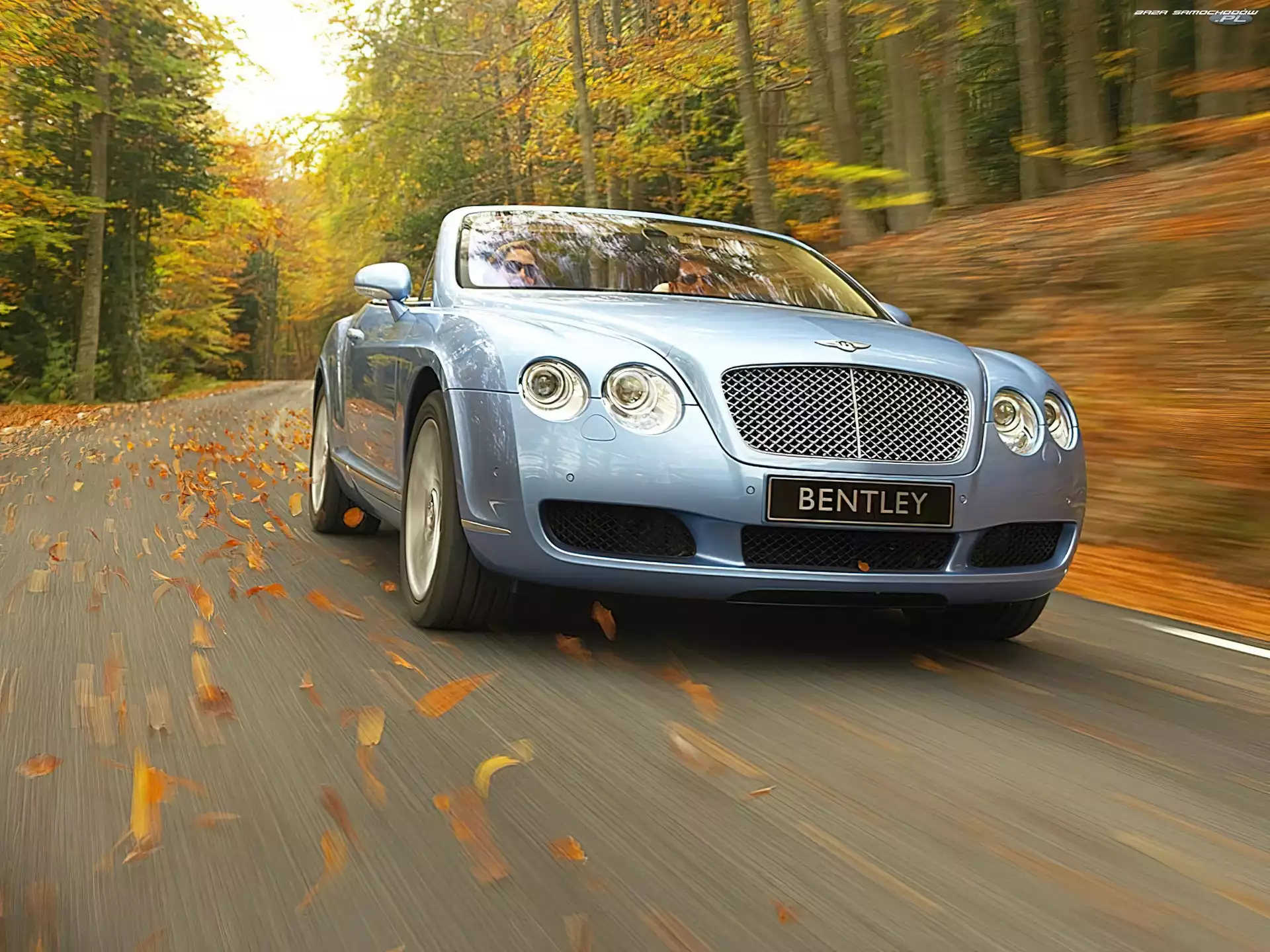 Jesień, Bentley Continental GTC, Liście
