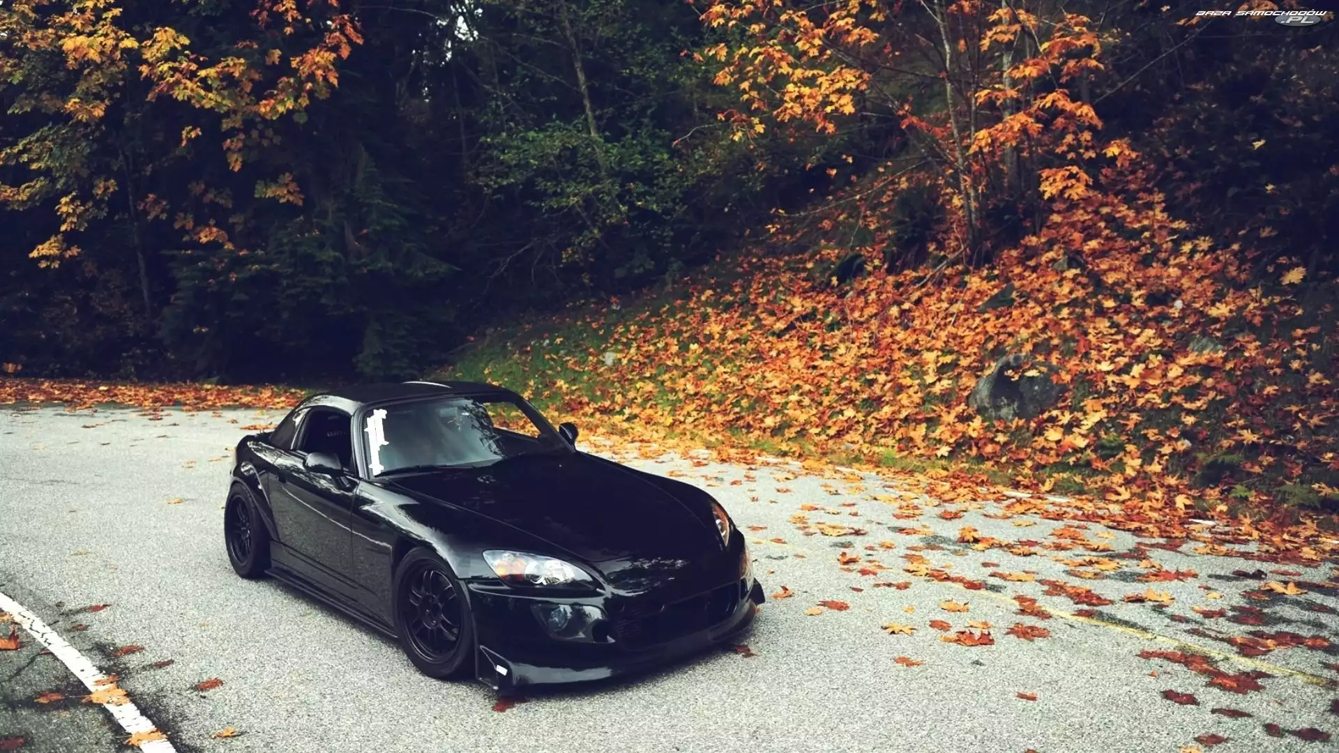 Jesień, Liście, Droga, Honda, Las