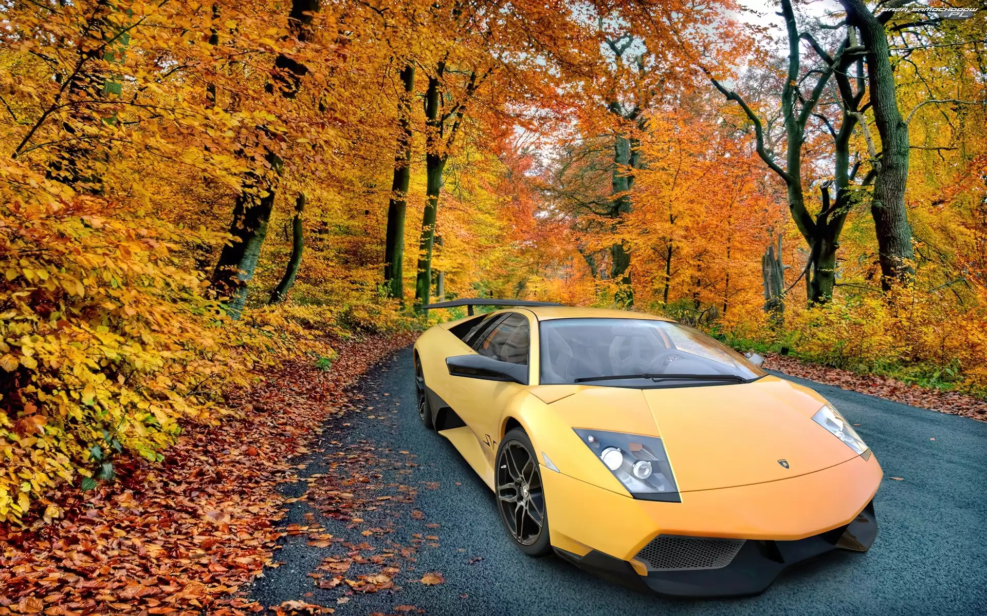 Jesień, Lamborghini Murcielago, Las