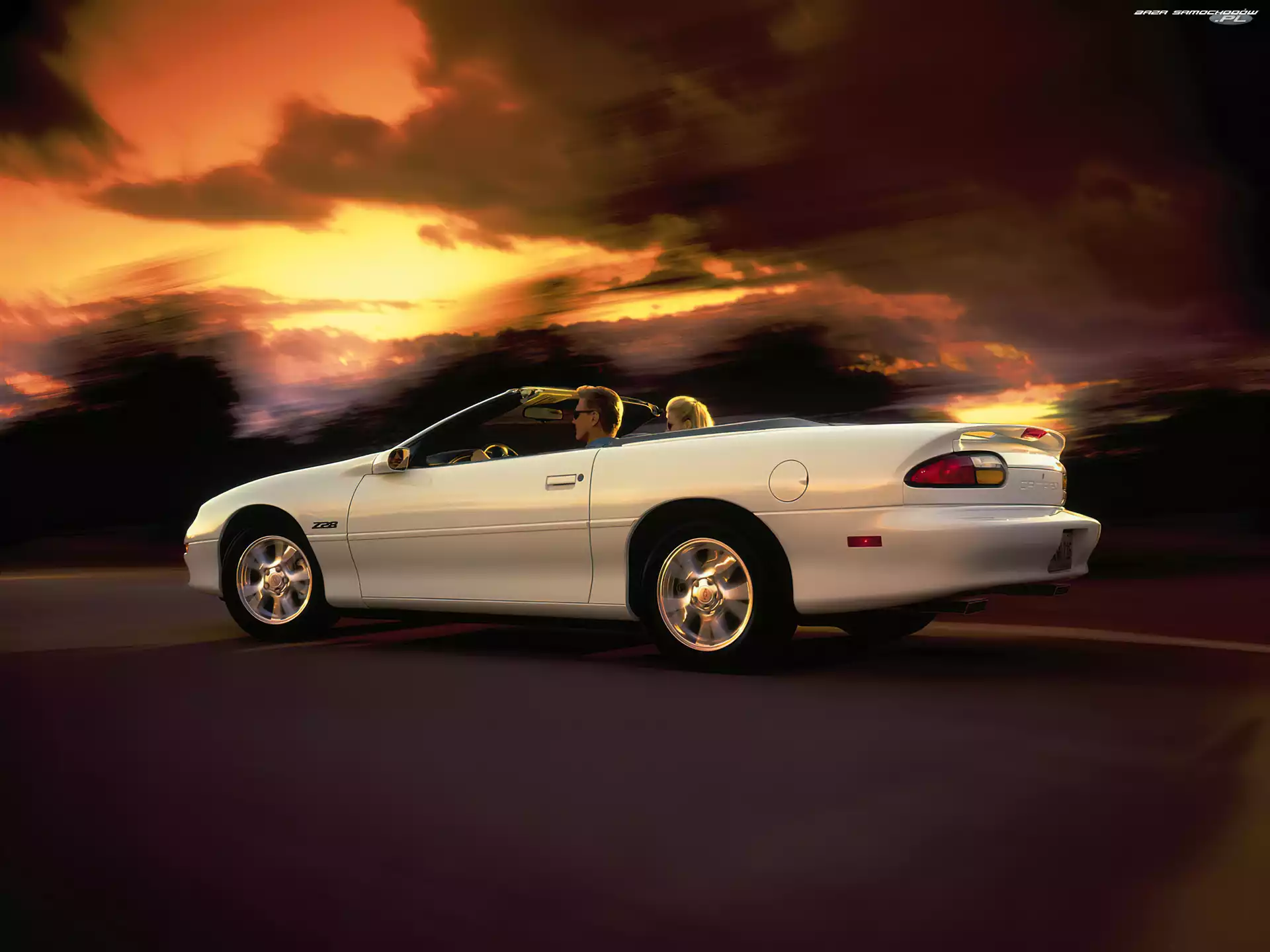 Kabriolet, Biały, Chevrolet Camaro