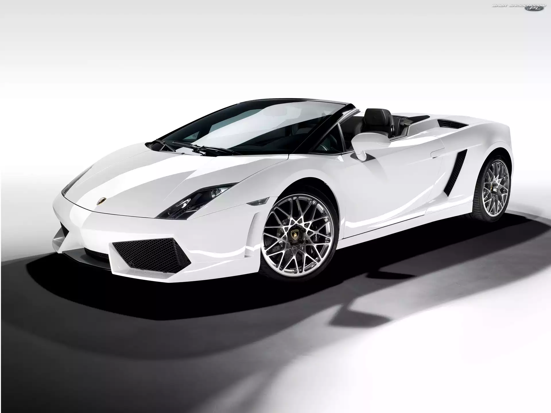 Kabriolet, Białe, Lamborghini Gallardo