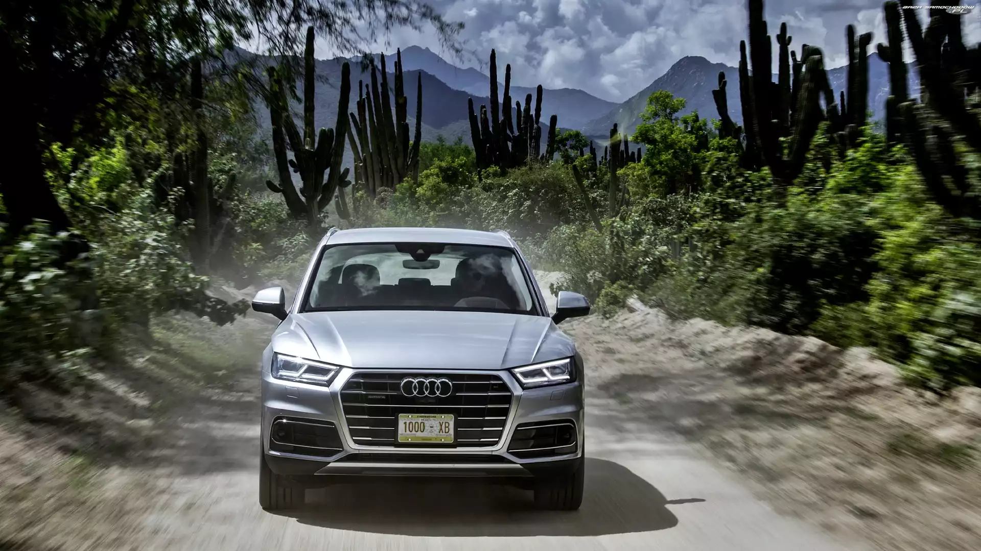 Kaktusy, Florett Silver, Audi Q5 3.0 TDI Quattro, Droga, Rośliny, SUV, 2017