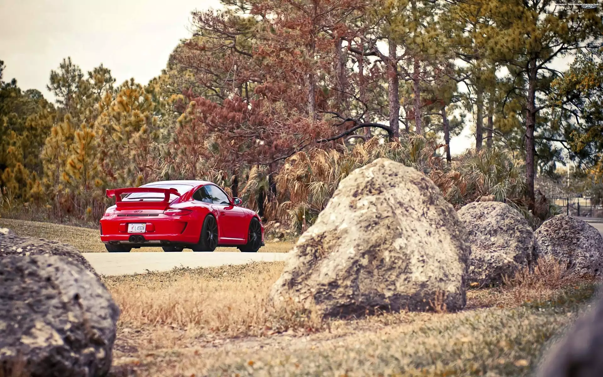 Kamienie, Drzewa, Porsche, Czerwone, 911
