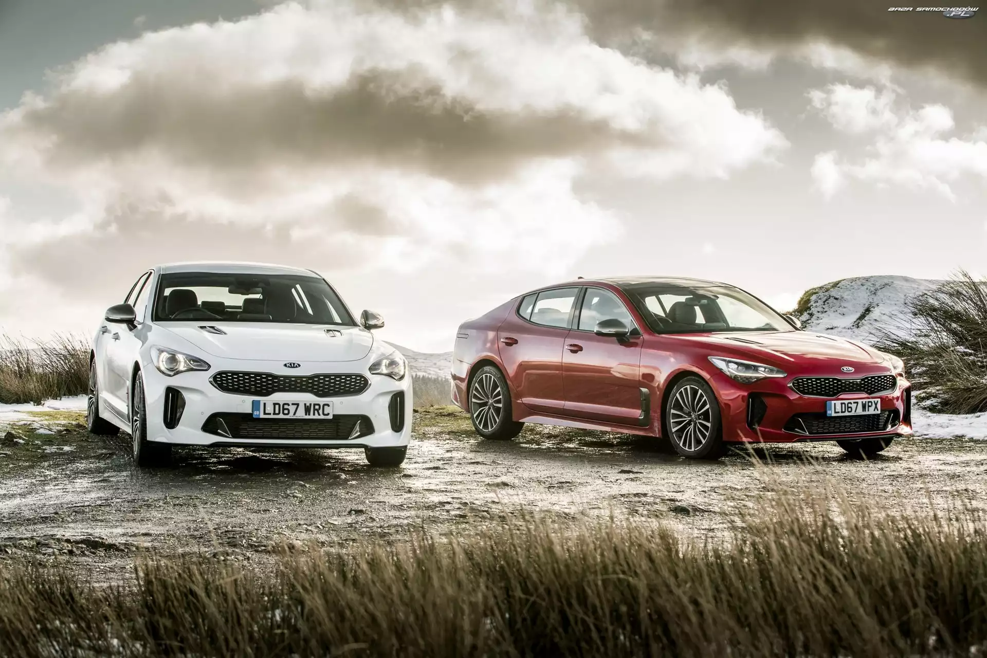 Kia Stinger, Dwa, Samochody
