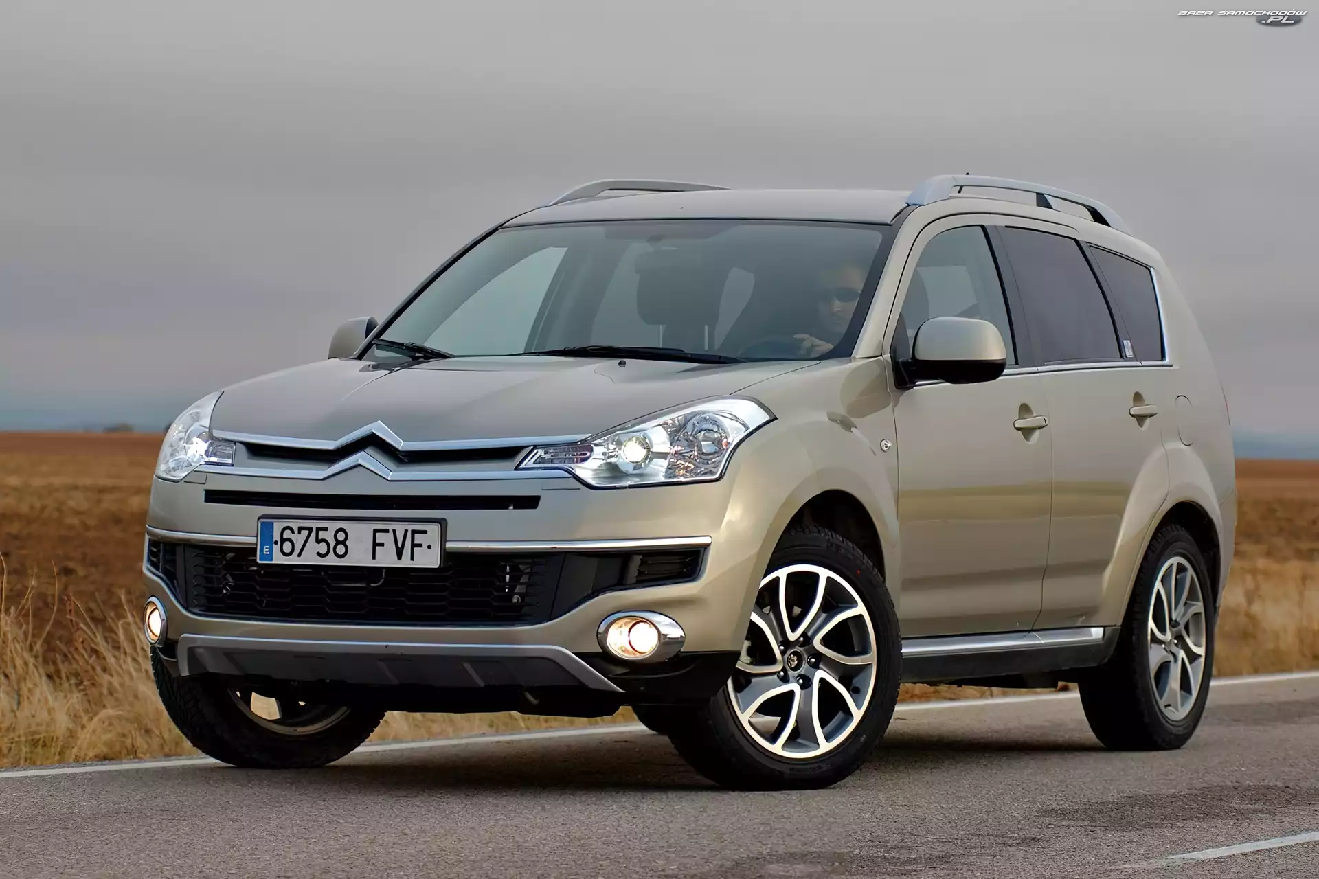 Kierowca, Beżowy, Citroen C-Crosser