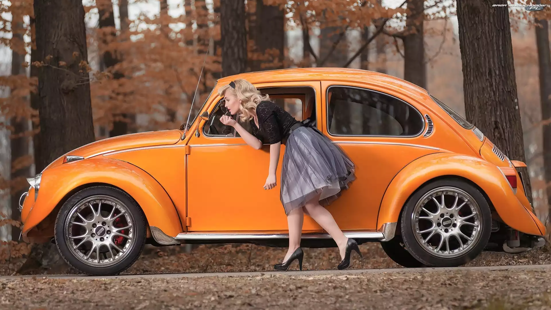 Kobieta, Garbus, Las, Volkswagen