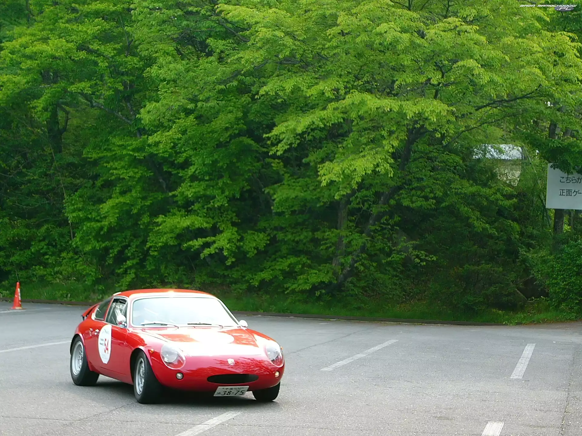 Koła, Las, Abarth 1000 Mono, Trening