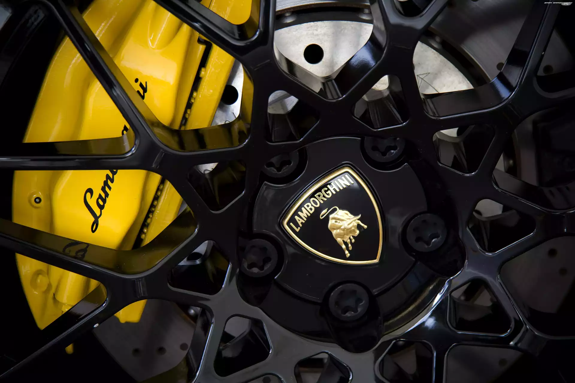 Lamborghini, Koło, Logo