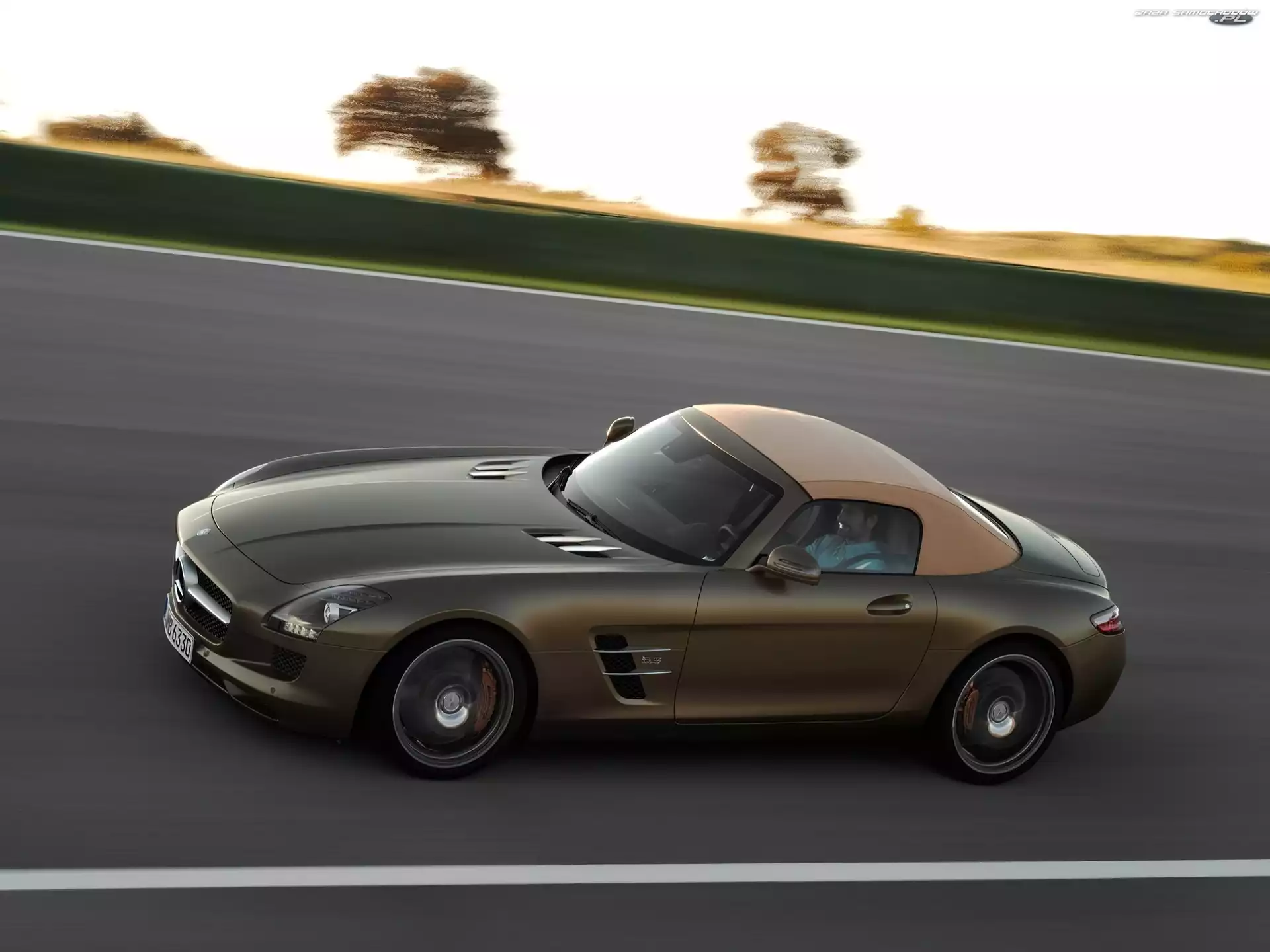 AMG, Kolorystyka, Mercedes-Benz SLS Roadster, Brązowa