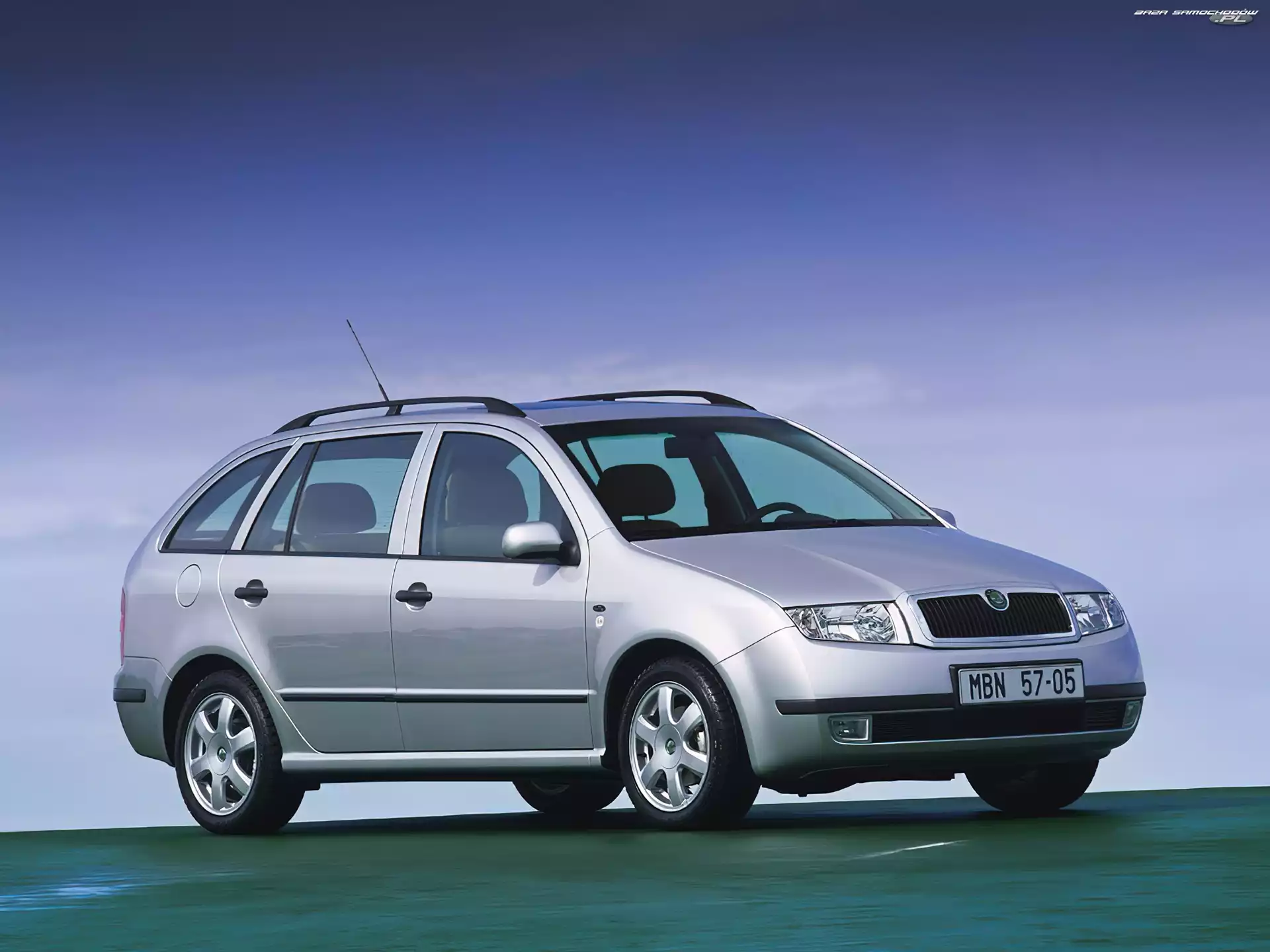 Kombi, Srebrna, Skoda Fabia