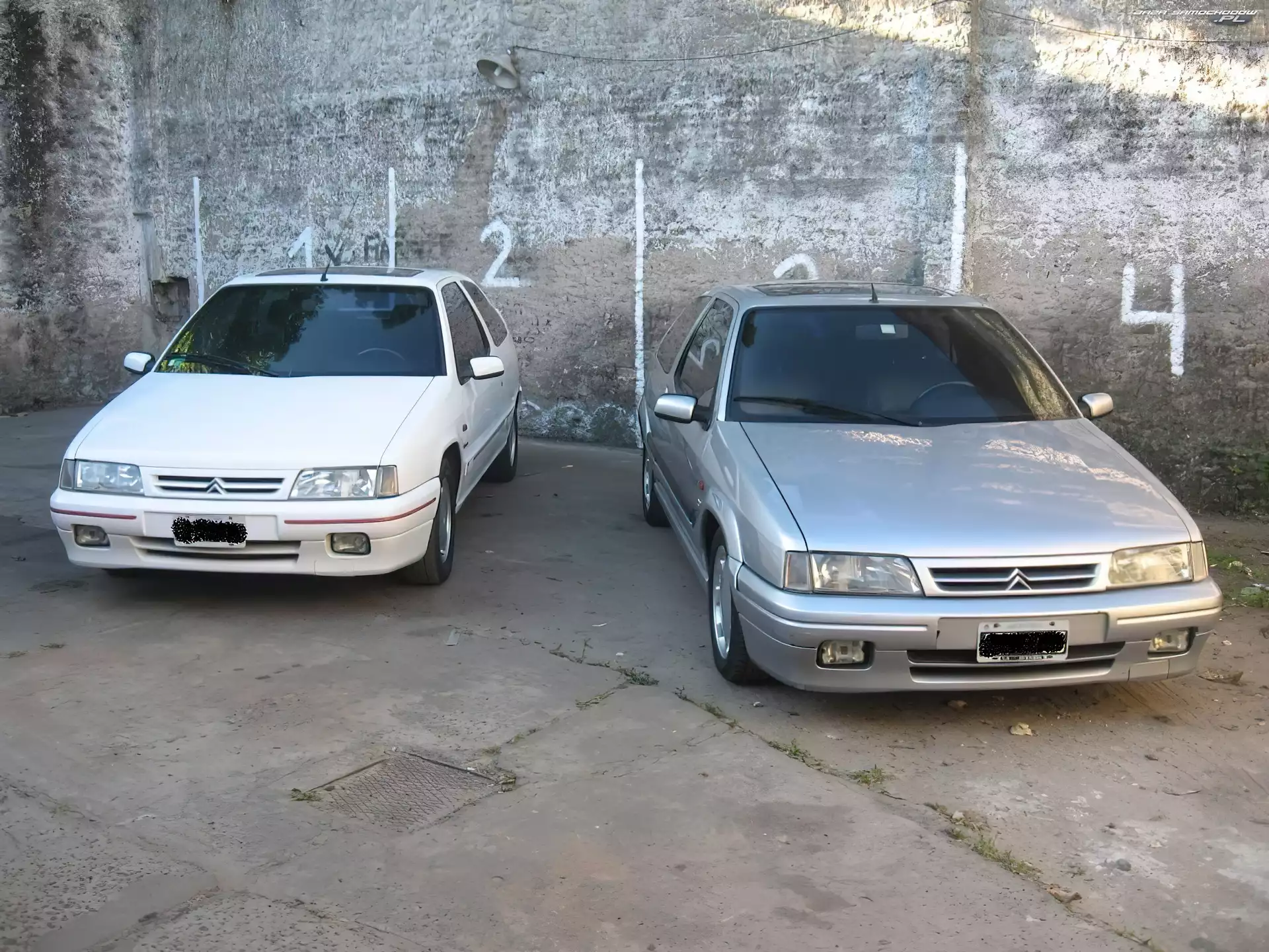 Kombi, Citroen ZX, Hatchback